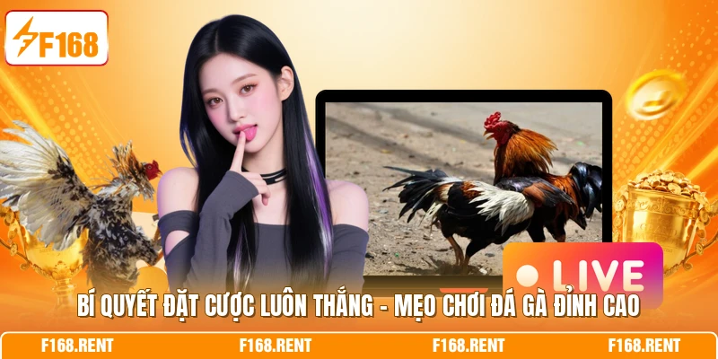 Bí Quyết Đặt Cược Luôn Thắng