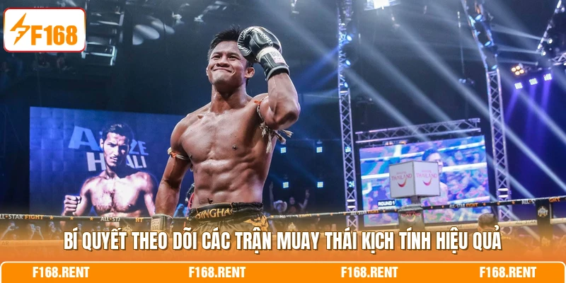 Bí quyết theo dõi các trận Muay Thái kịch tính hiệu quả