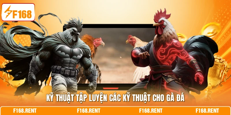Kỹ thuật tập luyện các kỹ thuật cho gà đá
