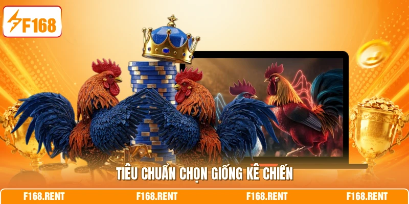 Tiêu chuẩn chọn giống kê chiến