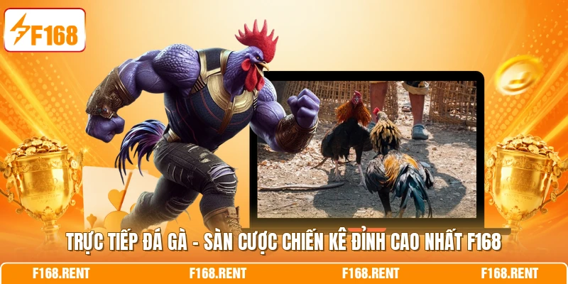 Trực Tiếp Đá Gà